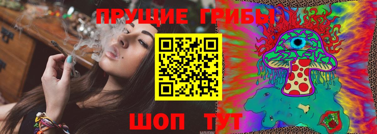 Североуральск  Псилоцибиновые грибы Psilocybe  Вход с VPN 